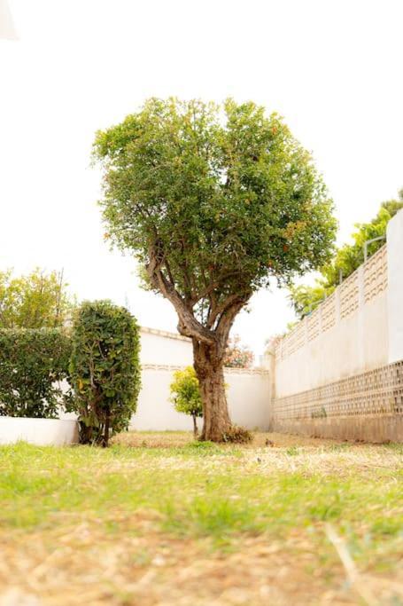 Casa Voramar En Denia A 300M De La Playa Villa Kültér fotó